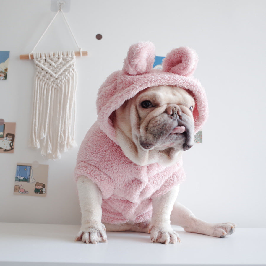 Dog Clothes