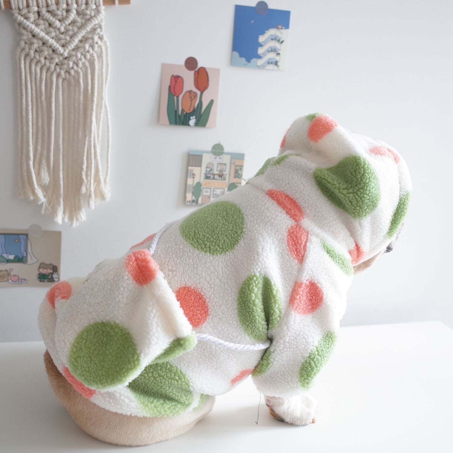 Dog Clothes