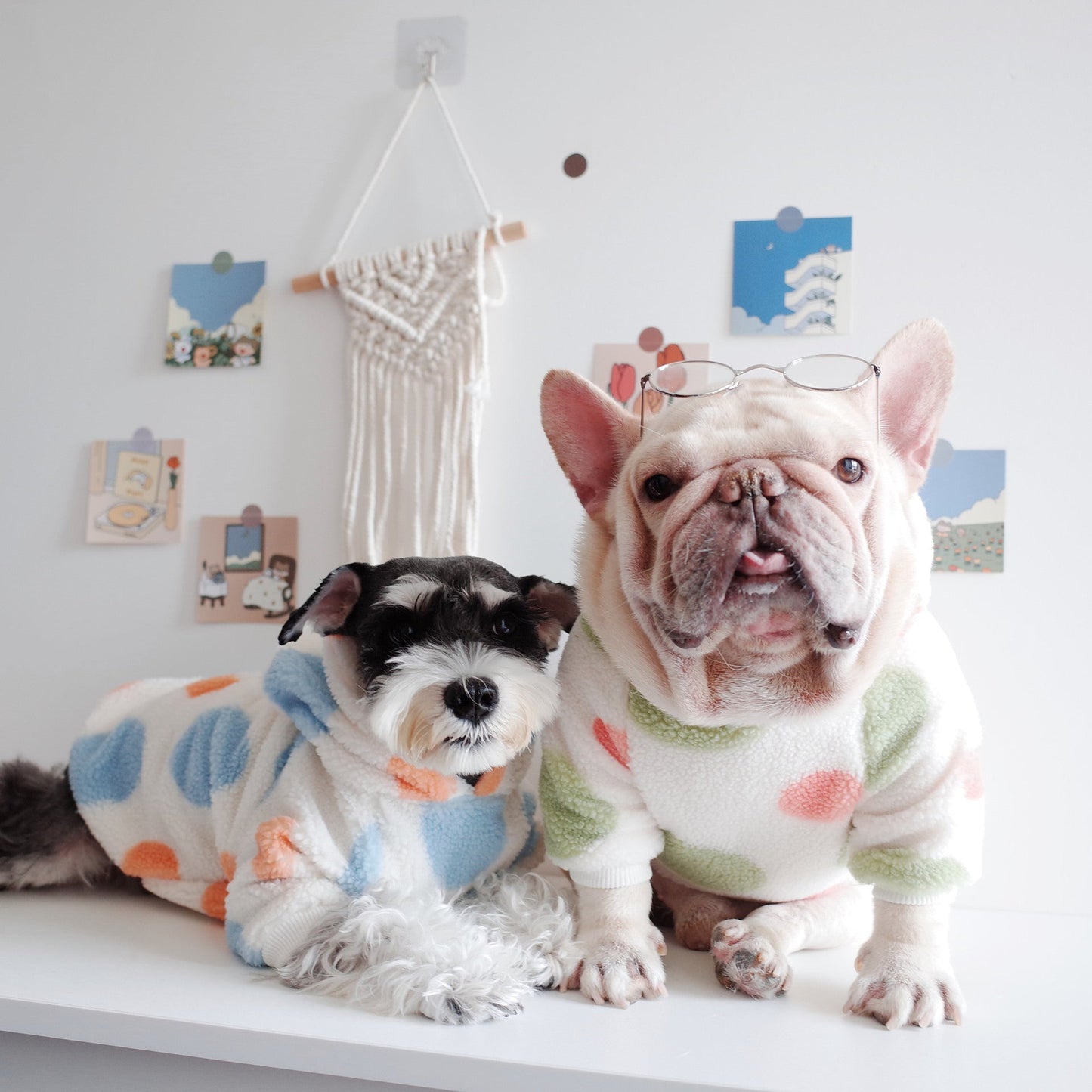 Dog Clothes