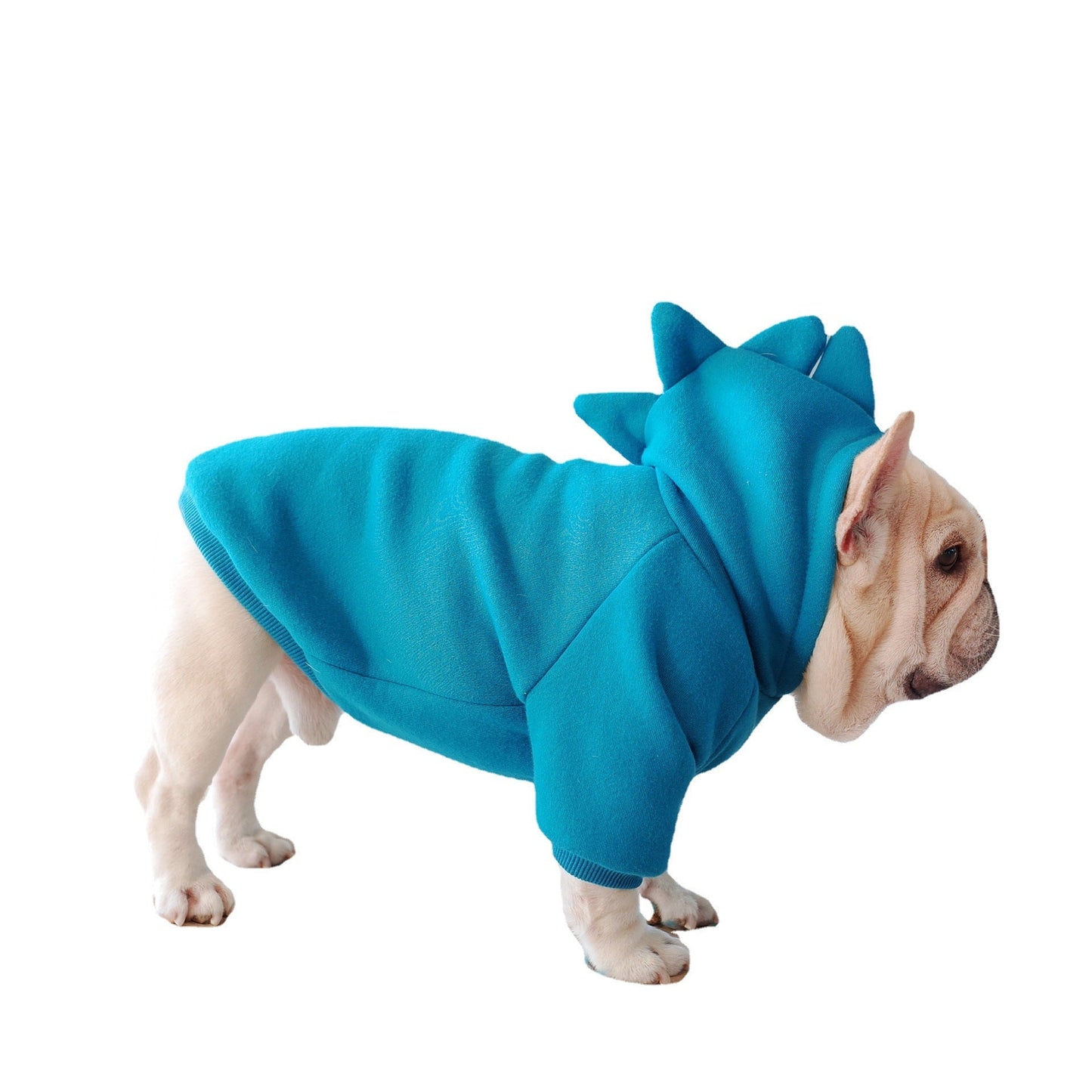Dog Hoodie
