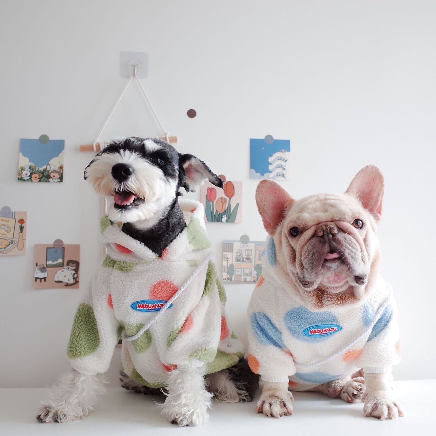 Dog Clothes