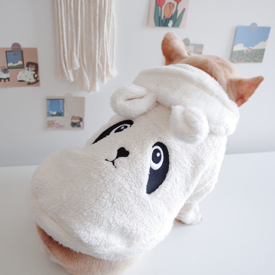 Dog Clothes