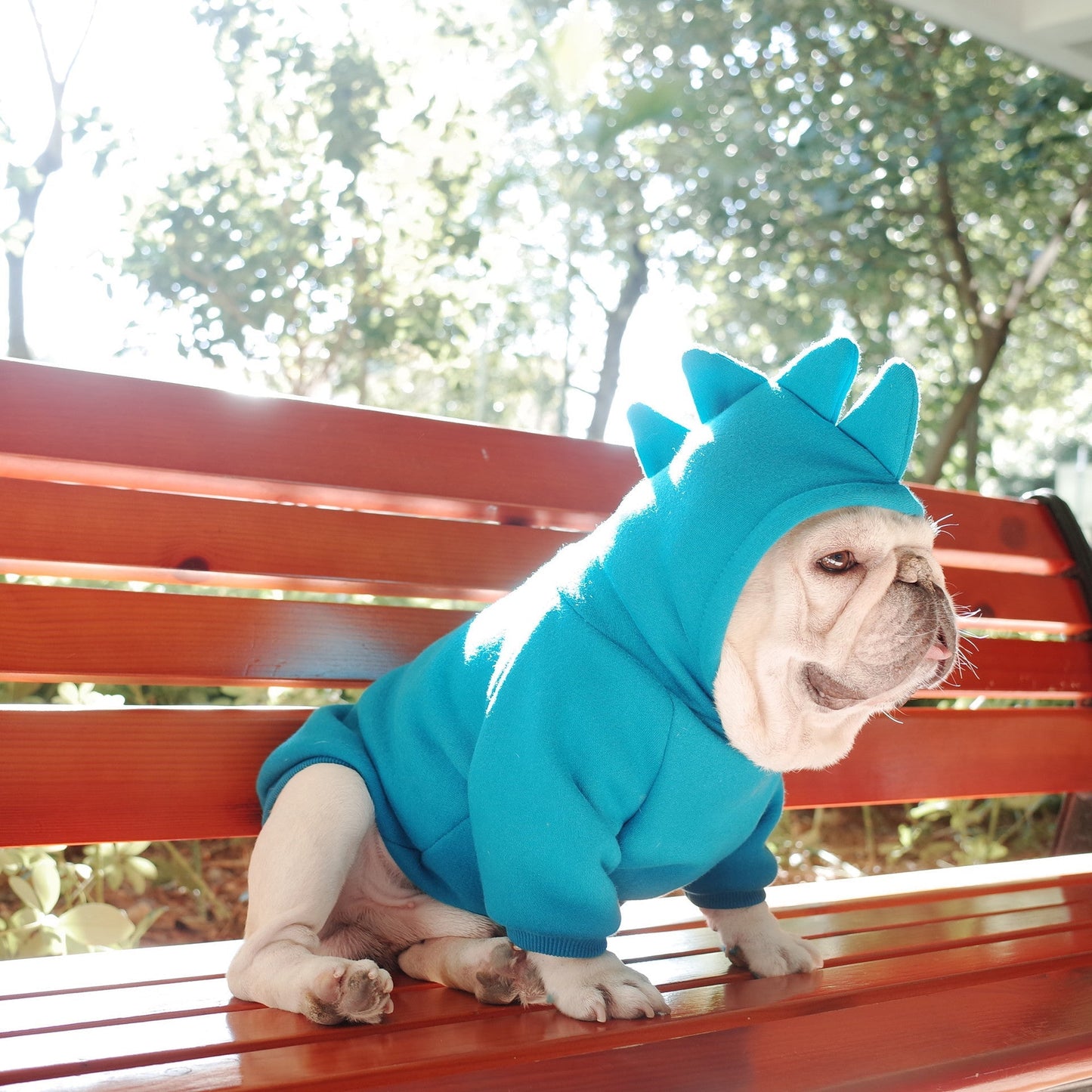 Dog Hoodie