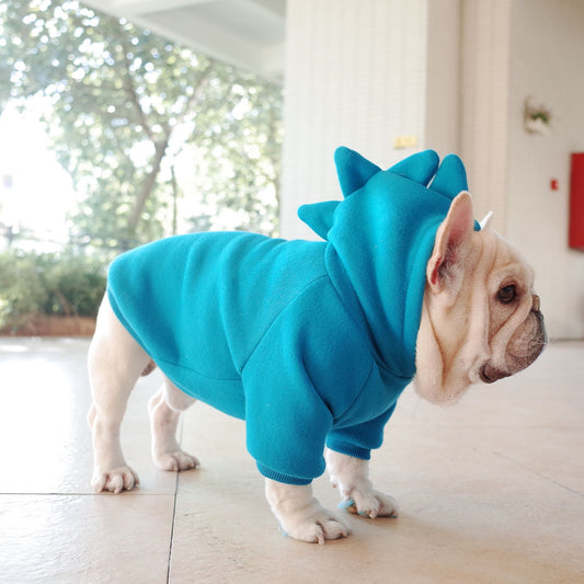 Dog Hoodie