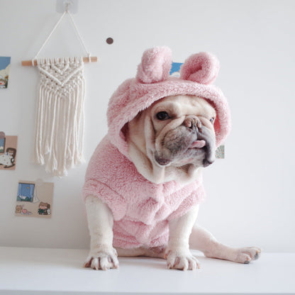 Dog Clothes