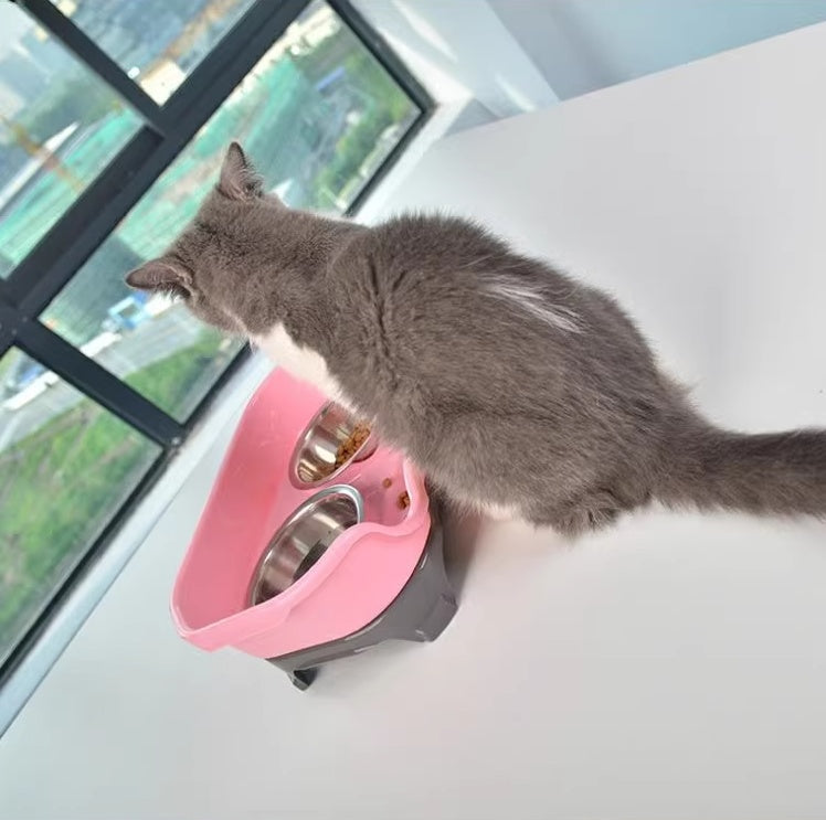 Pet Food Bowl