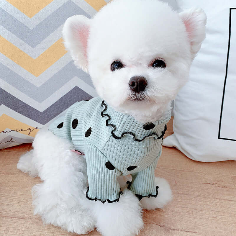 Cozy, Cute, and Comfortable: The Polka Dot Ruffle Sleeve Dog Sweater