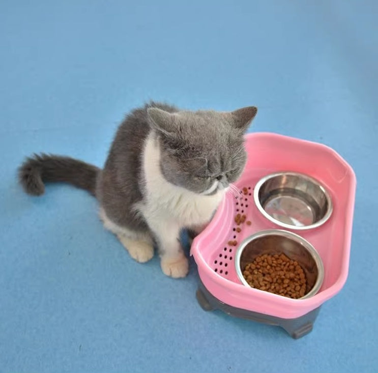 Pet Food Bowl